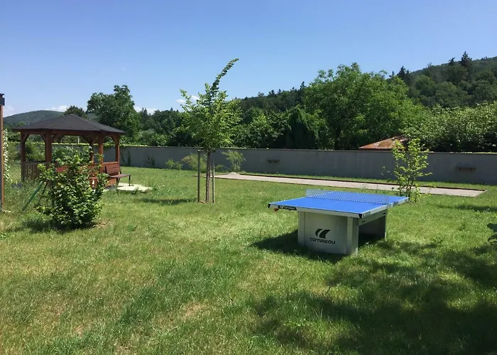 فندق Panska Zahrada 4*